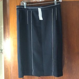 Ann Taylor skirt